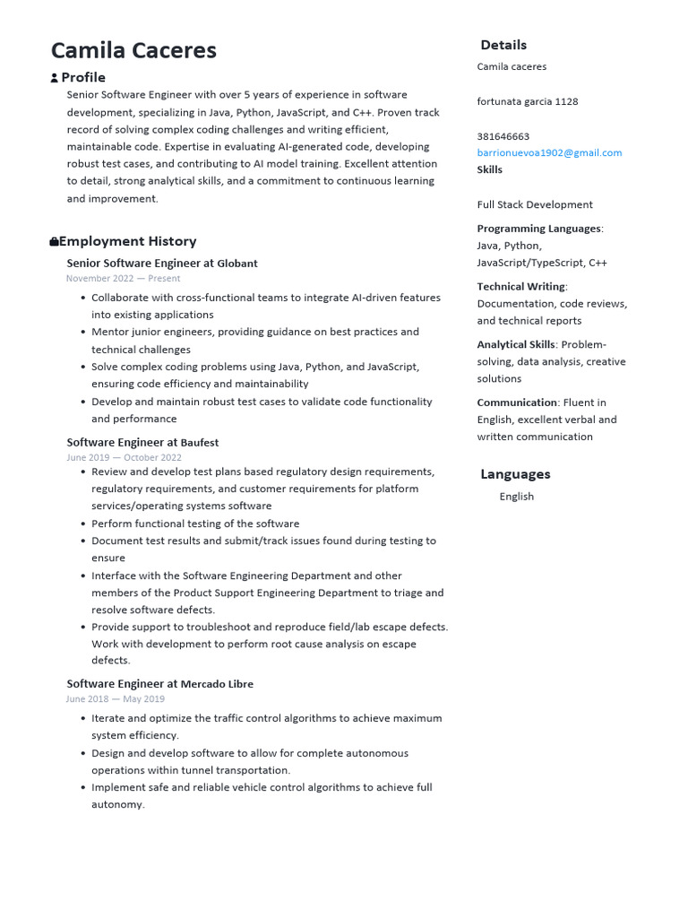 Resume Outlier PDF Software Computer Programming