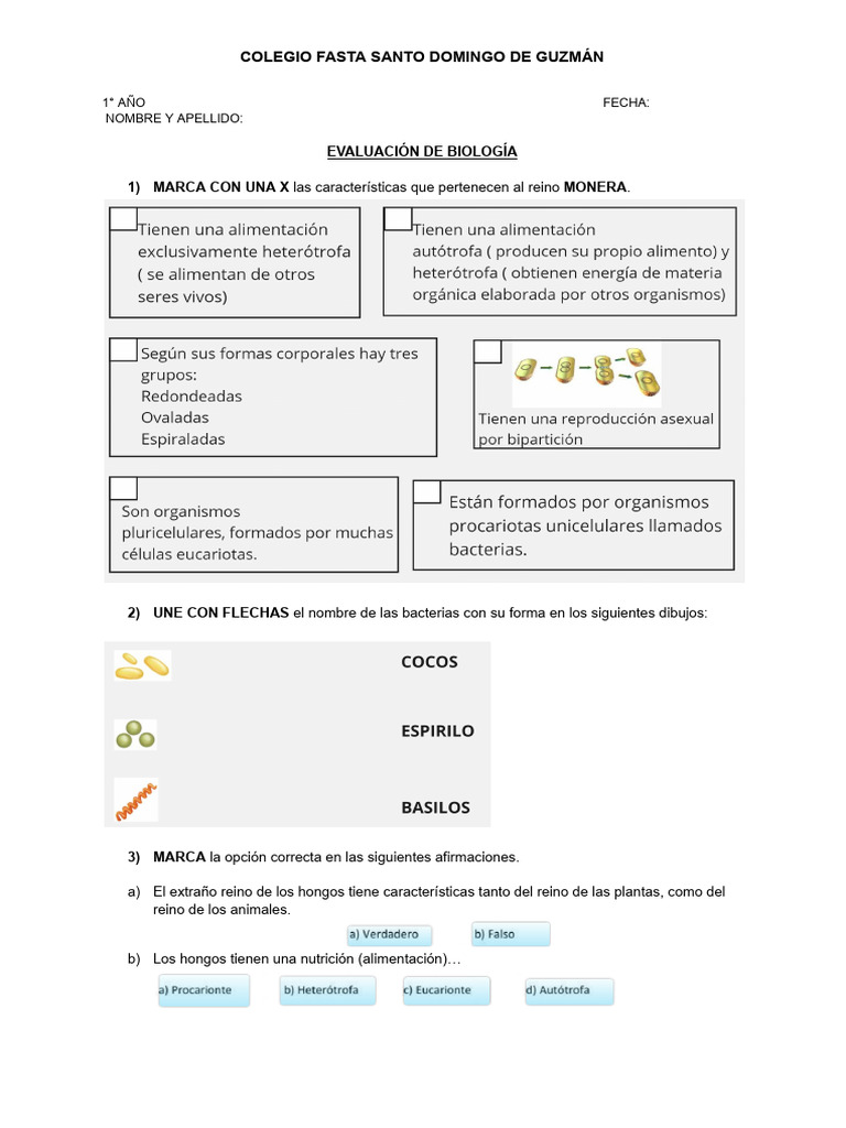 Evaluación Biología Reinos Fungi y Monera | PDF