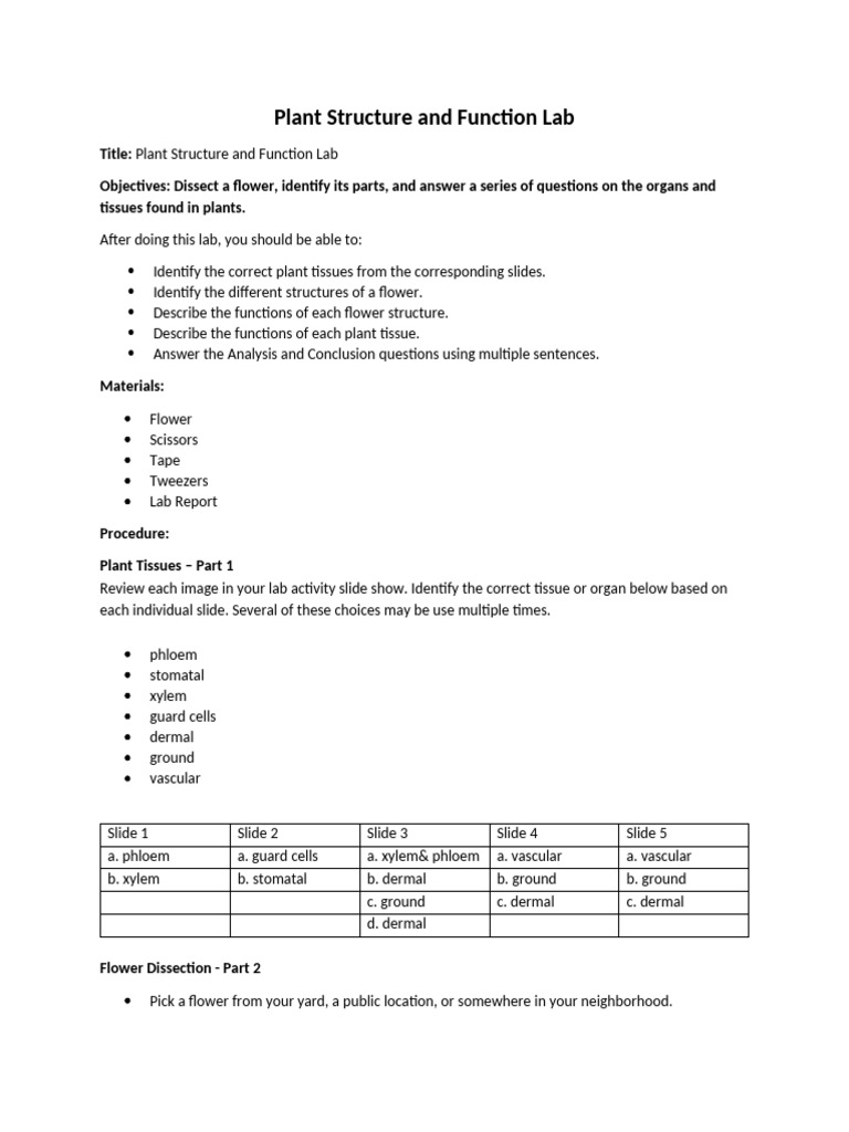 Flower Dissection and Plant Tissue Lab | PDF | Flowers | Plants