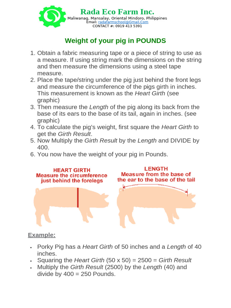 Pig Weight Calculation Guide | PDF | Weight | Length