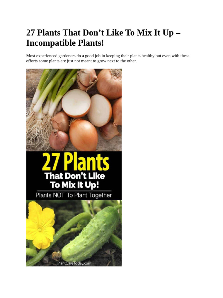 Incompatible Vegetable Planting Guide | PDF | Vegetables | Tomato