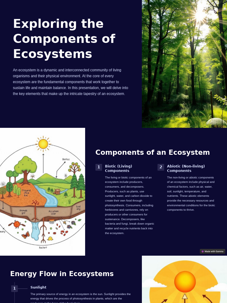 Ecosystem Basics for Students | PDF