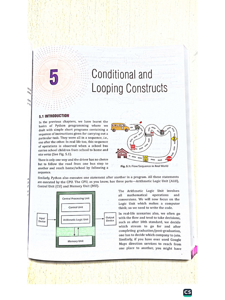Chap 5 Conditional and Looping Constructs | PDF