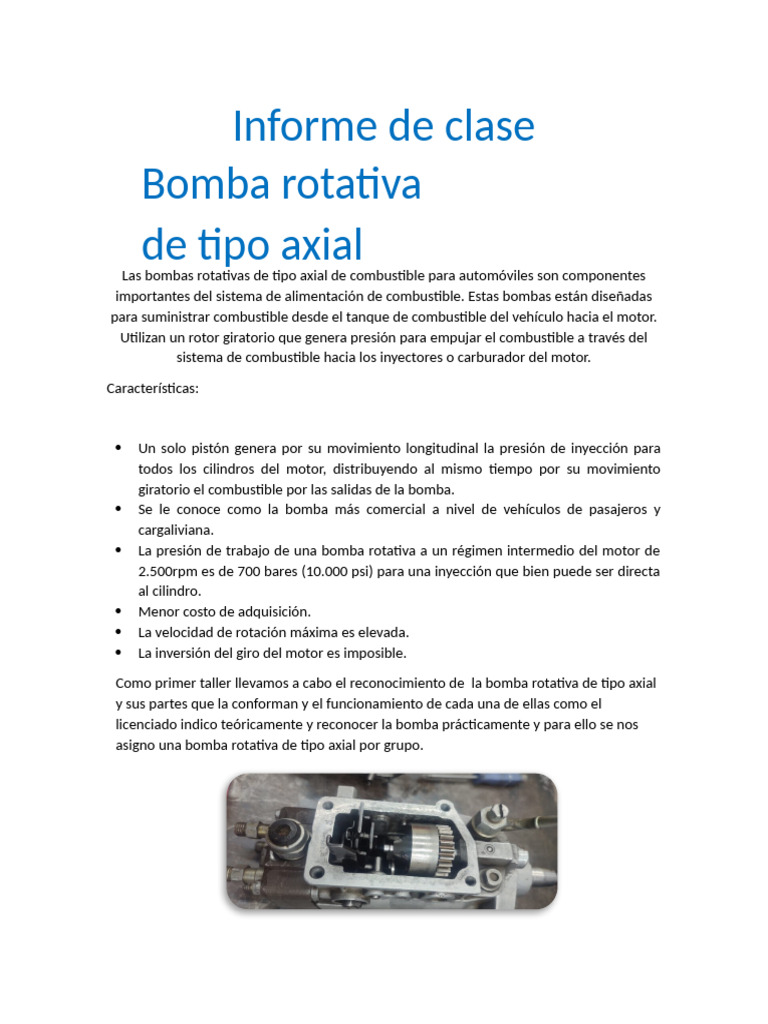 Bomba Rotativa | PDF