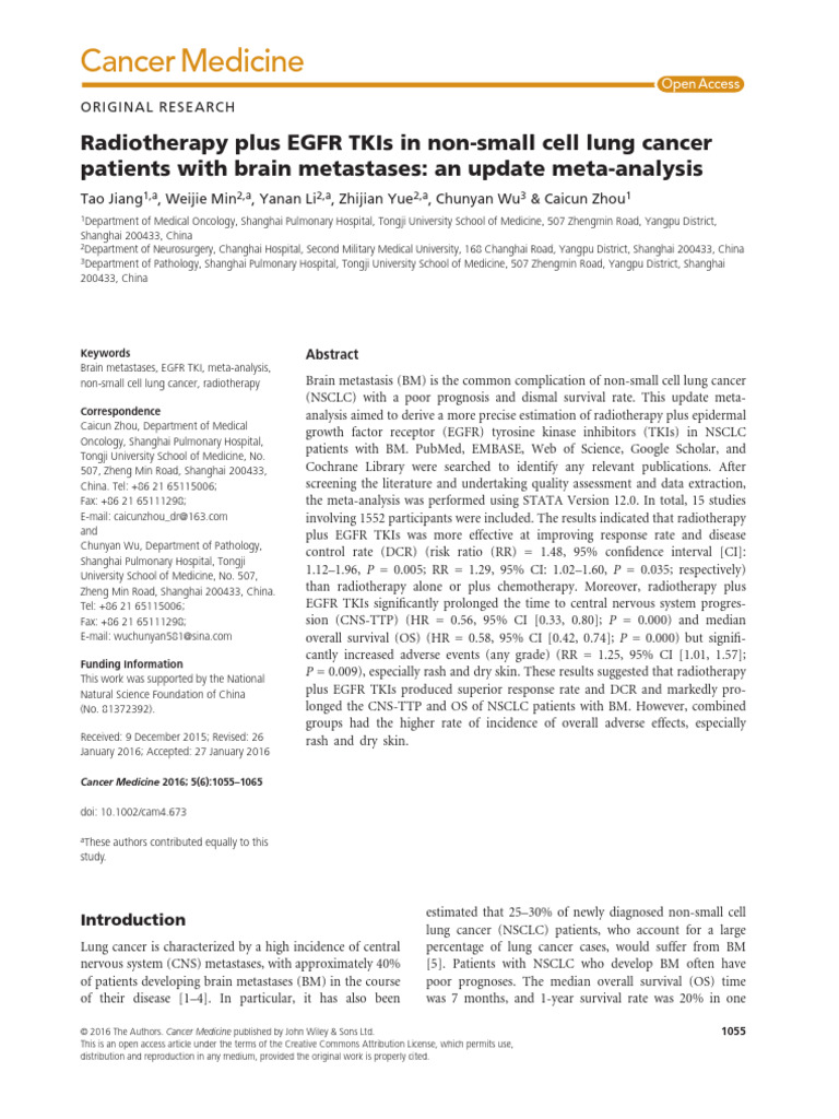 Radiotherapy Plus EGFR TKIs in Non-Small Cell Lung Cancer | PDF | Lung ...