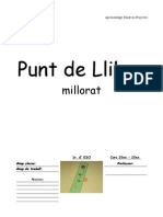 Punt de LLibre Millorat