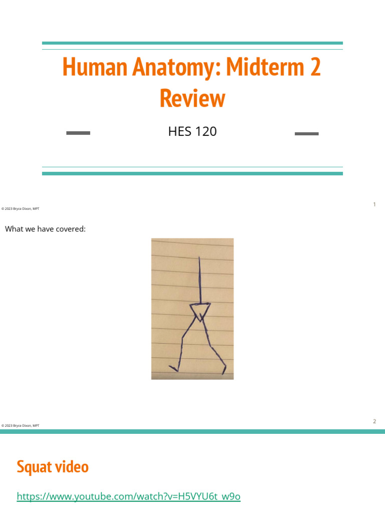HES+120 +Topic+12+Midterm+2+Review+STUDENT+ | PDF | Ankle | Foot