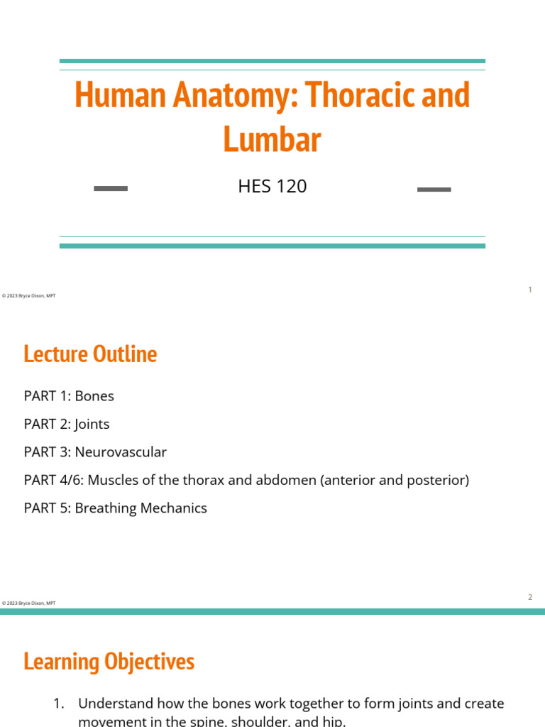 HES+120_+Topic+11+%28Thoracic_+Lumbar_+Abdominal%29+STUDENT+%281%29 ...