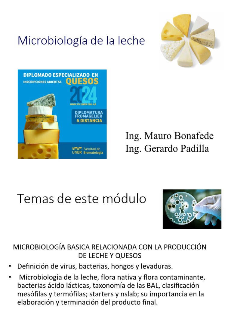 Microbiología de la Leche y Quesos | PDF | Las bacterias | Levadura