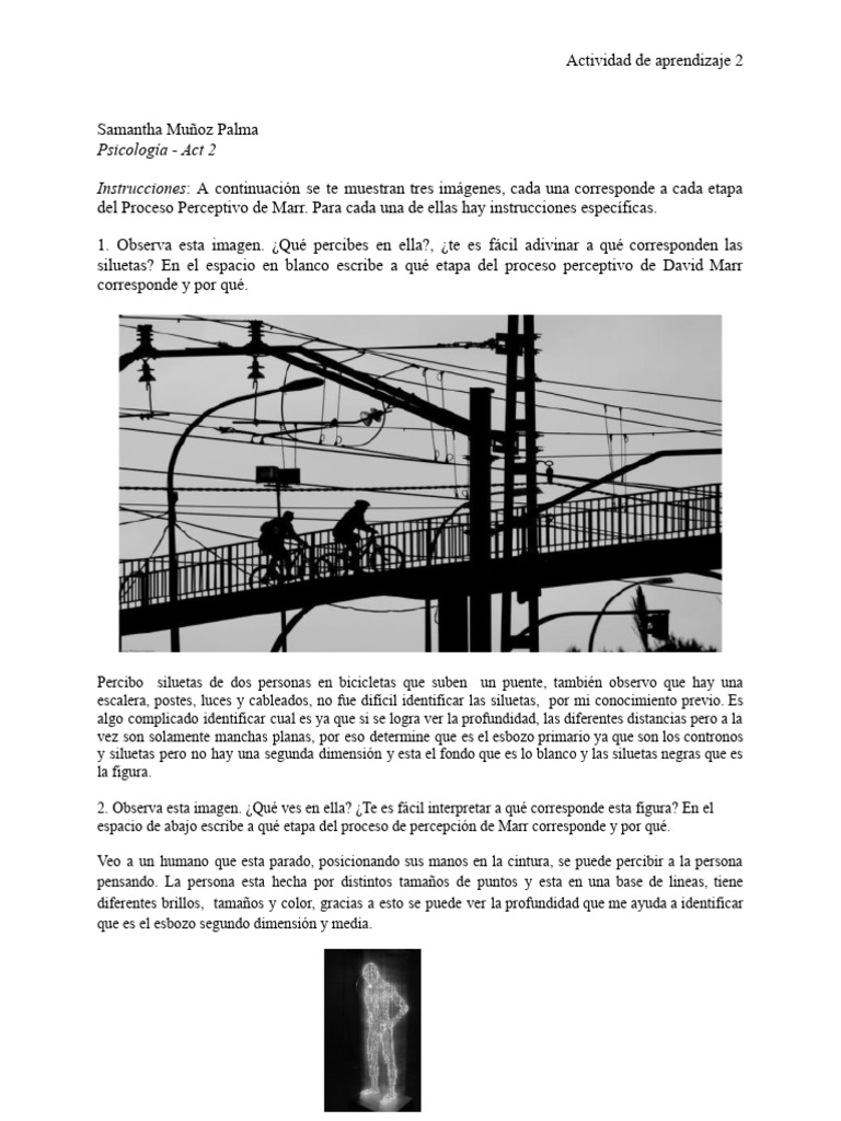 Actividad de Aprendizaje 2 - Percepción-1 | PDF