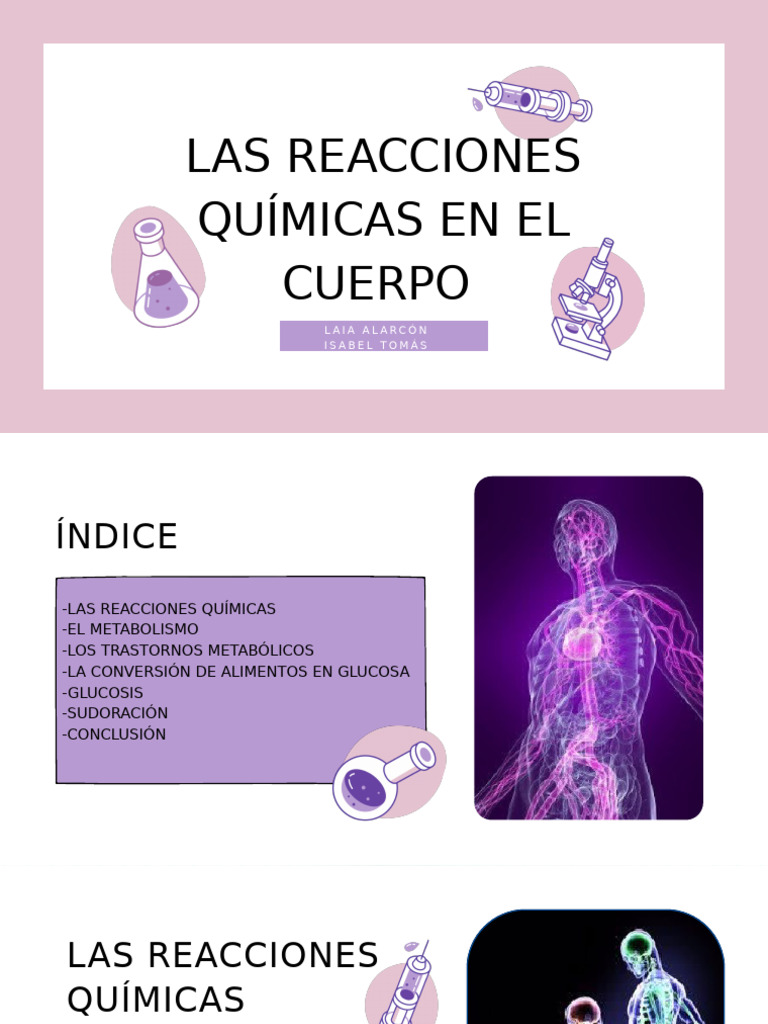 Reacciones químicas en el cuerpo | PDF | Metabolismo | Enzima