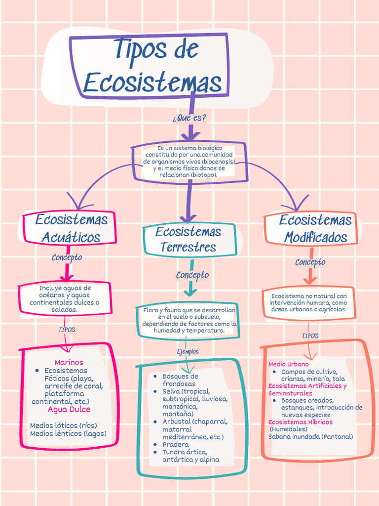 Tipos de Ecosistemas: Mapa Conceptual | PDF | Ciencia y matemáticas