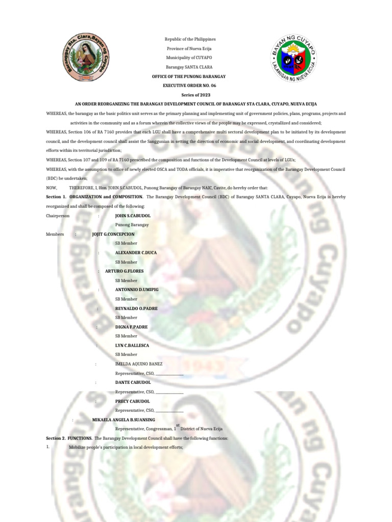 Barangay Development Council | PDF | Governance | Justice