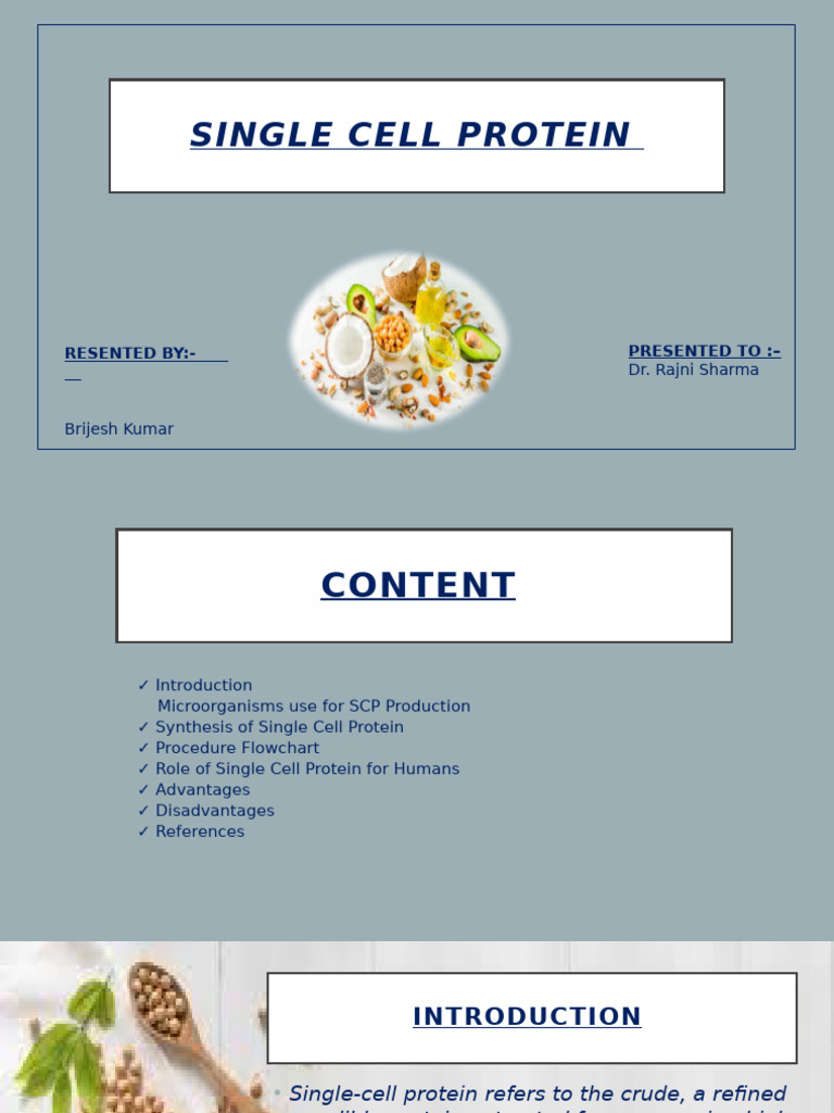Overview of Single Cell Protein | PDF | Microorganism | Proteins