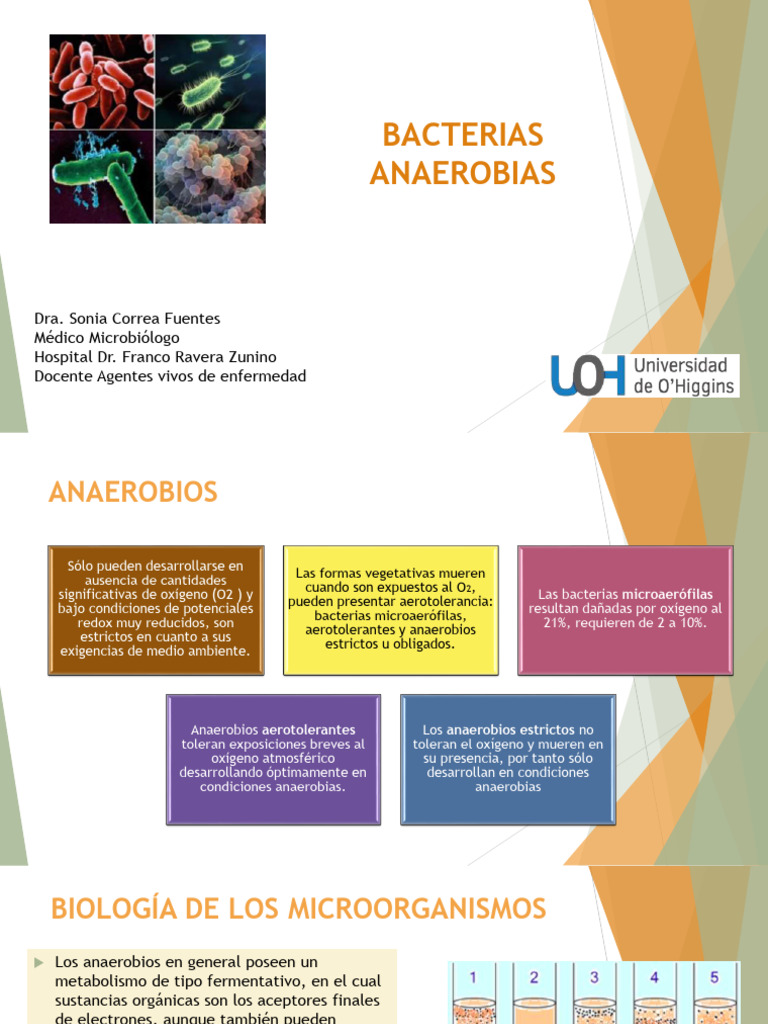 Anaerobios | PDF | Microbiología | Especialidades Medicas