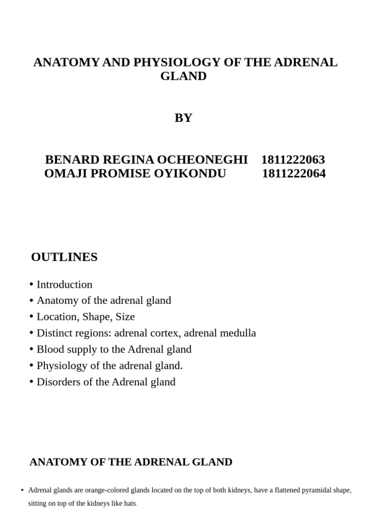 Adrenal Gland Anatomy and Physiology | PDF | Adrenal Gland | Endocrinology