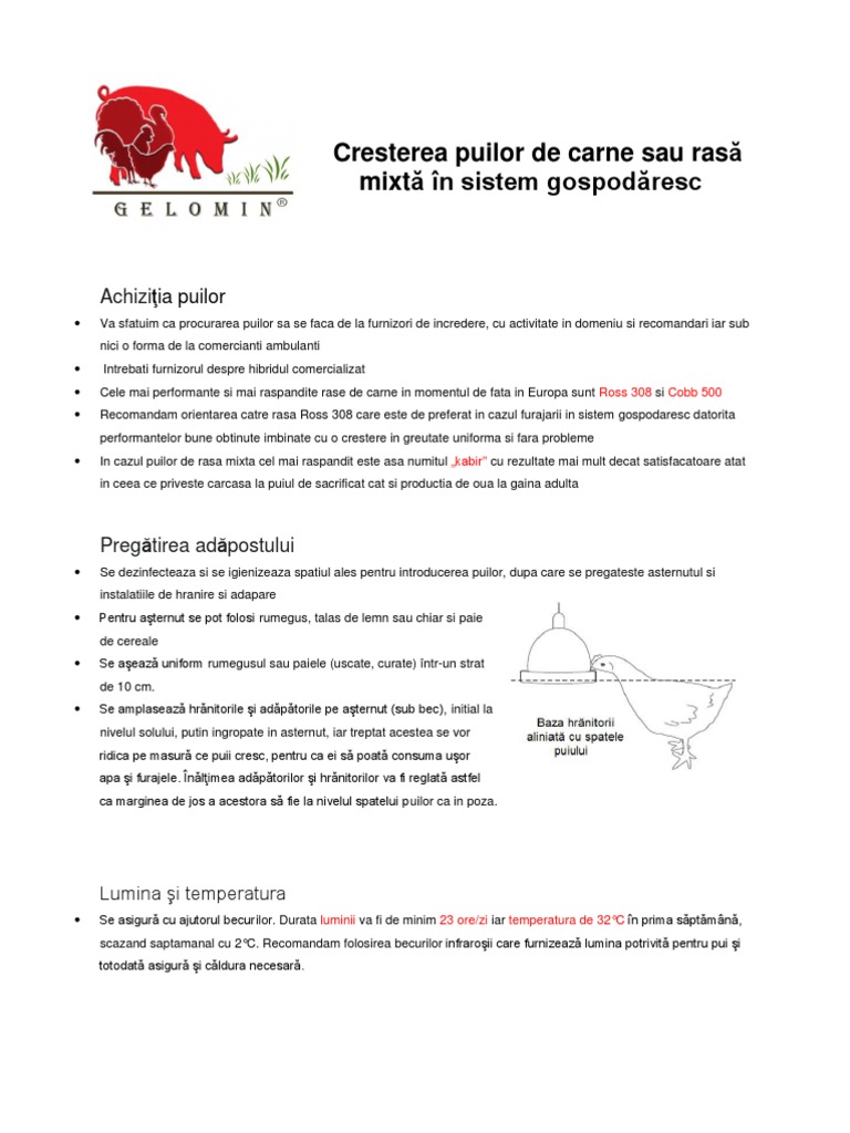 Cresterea Puilor de Carne, Rasa Mixta | PDF