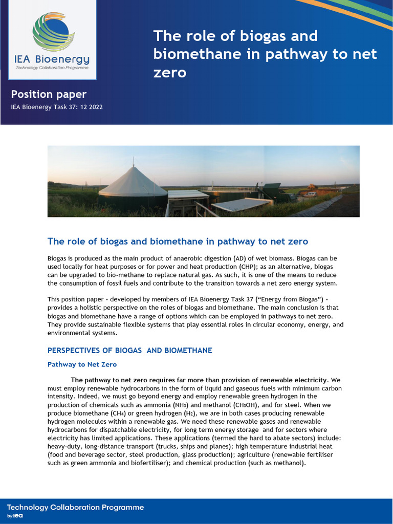 2022 12 12-IEA Bioenergy Position-Paper Final2 | PDF | Biogas ...