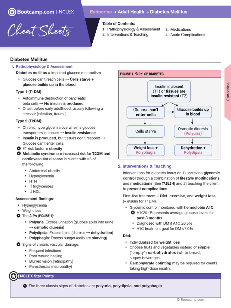 Cream Crackers for Diabetes Management | PDF | Diabetes | Hyperglycemia