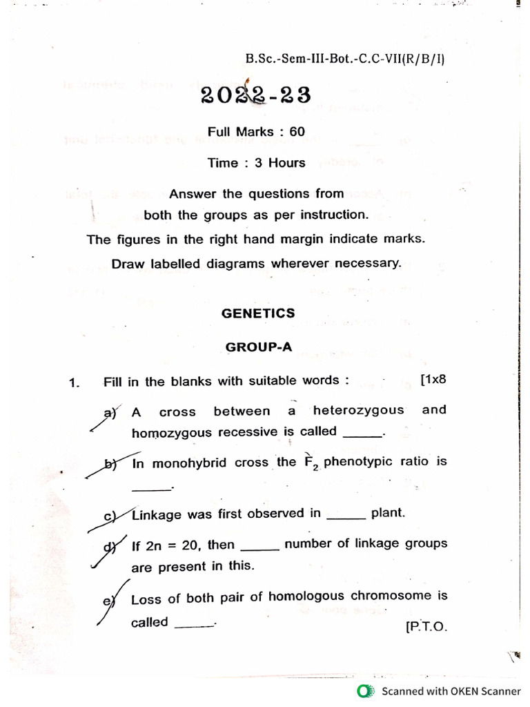 cc7 Pyq | PDF