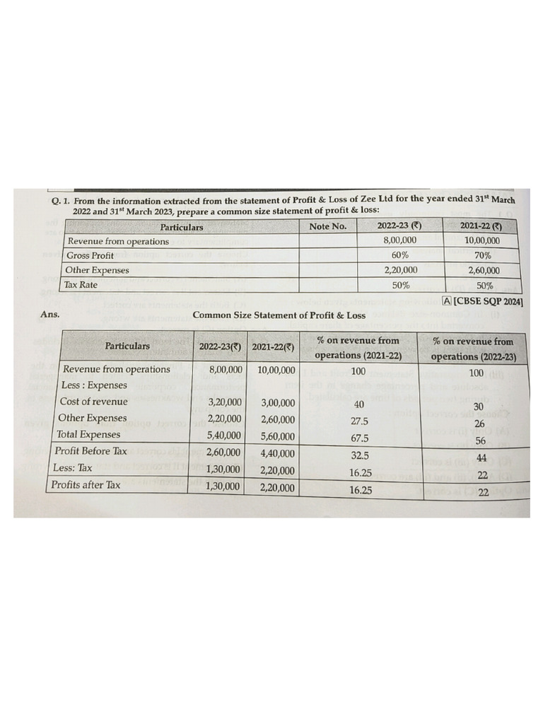 Common Size Statement | PDF