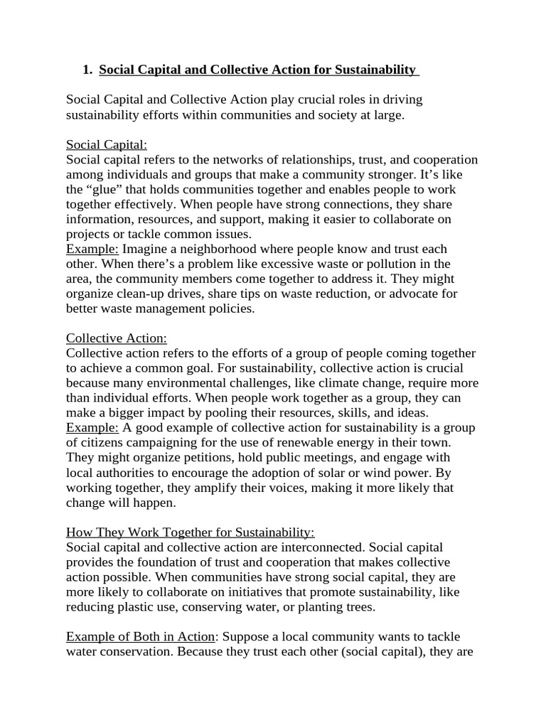 Social Capital and Sustainability Action | PDF | Sustainability ...