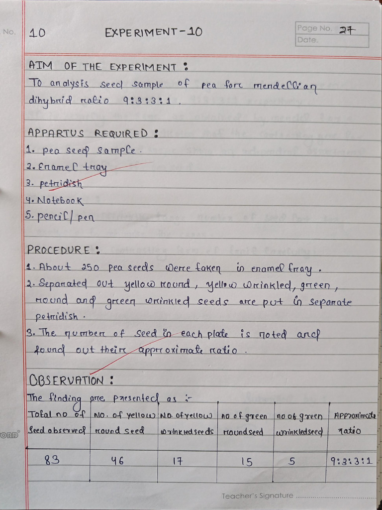 Experiment 10 | PDF