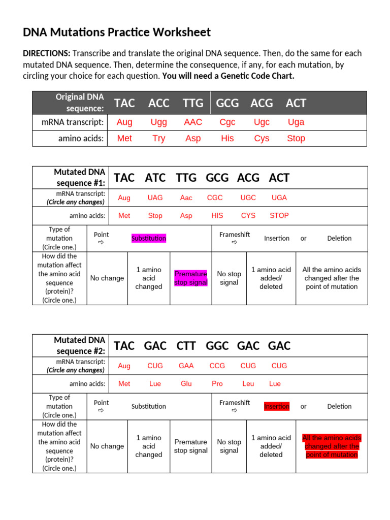 Chromosome Mutation Worksheet