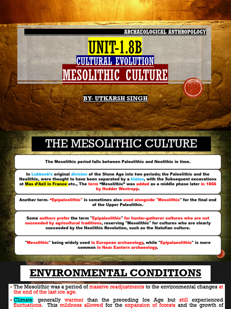 Unit - 6b Mesolithic Cultures | PDF | Stone Age