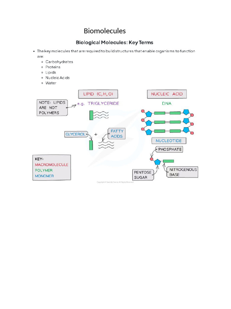 Biomolecules | PDF