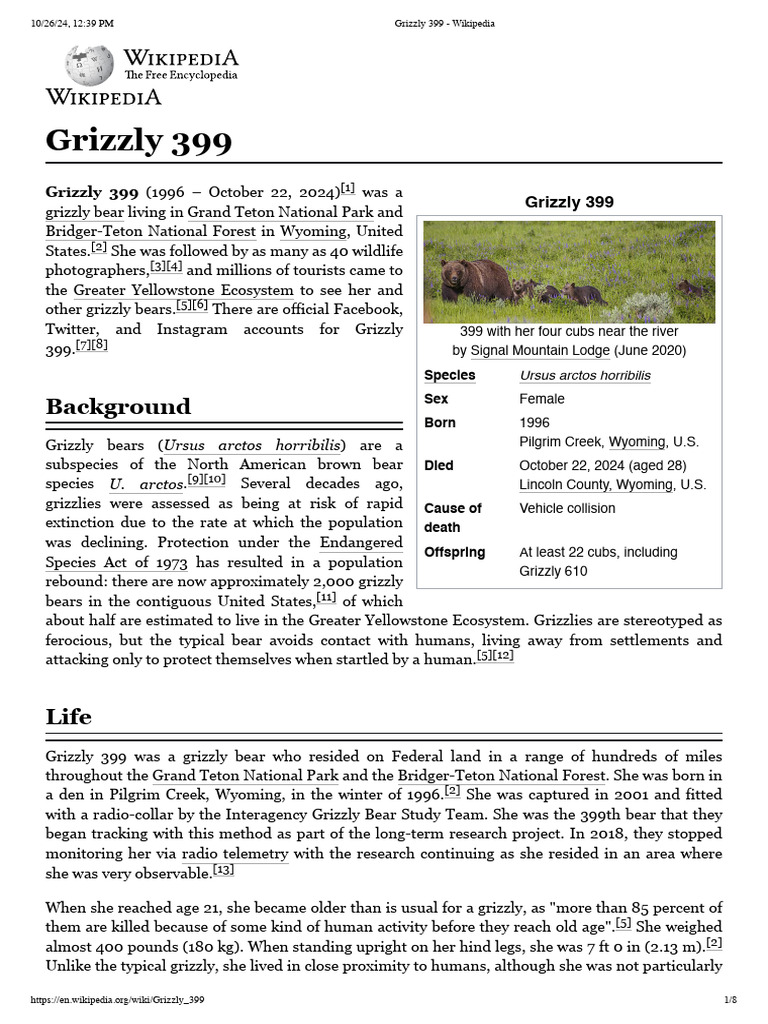 Grizzly 399: Icon of Yellowstone Bears | PDF | Bears | Carnivorans