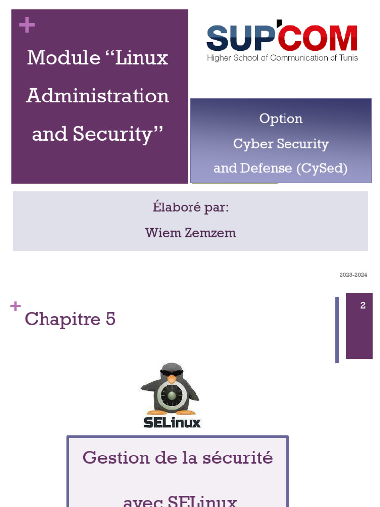 Chapitre 4 - Gestion de La Sécurité Avec SELinux | PDF | Mise en réseau ...