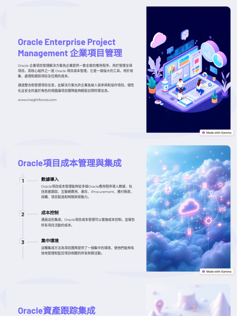 Oracle Enterprise Project Management | PDF