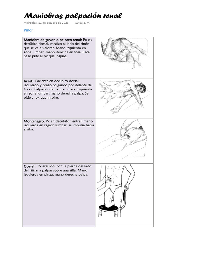 Maniobras Palpación Renal | PDF | Ciencias sociales | Salud y bienestar