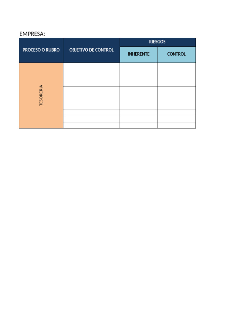 Modelo de Matrices de Riesgo | PDF