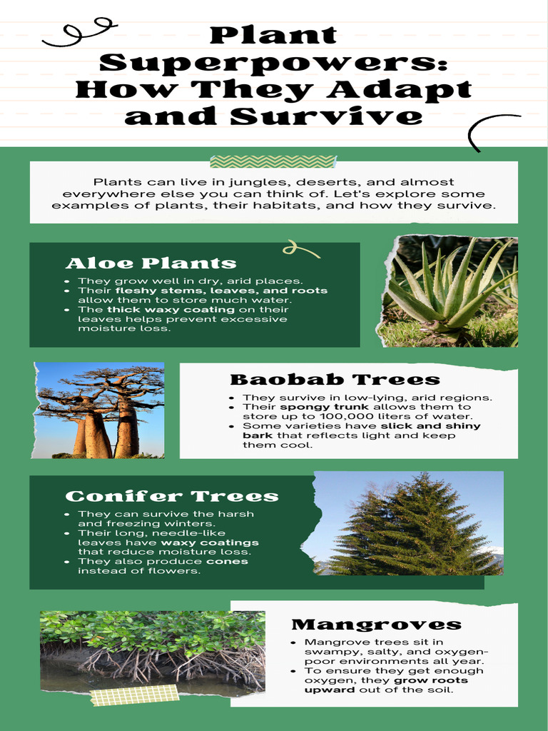 Plant Superpowers How They Adapt and Survive Education Infographic ...