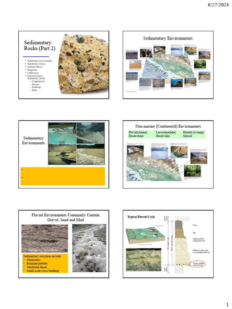 Understanding Sedimentary Rocks and Environments | PDF | Sedimentary ...