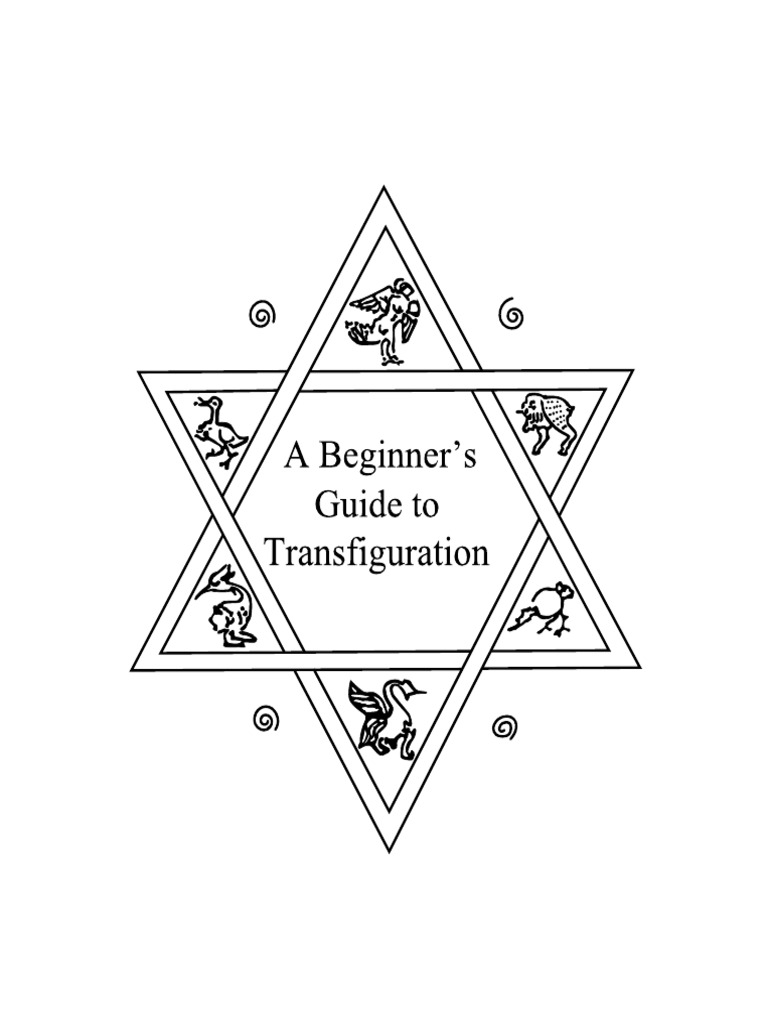 Beginner's Guide to Crafting | PDF | Art