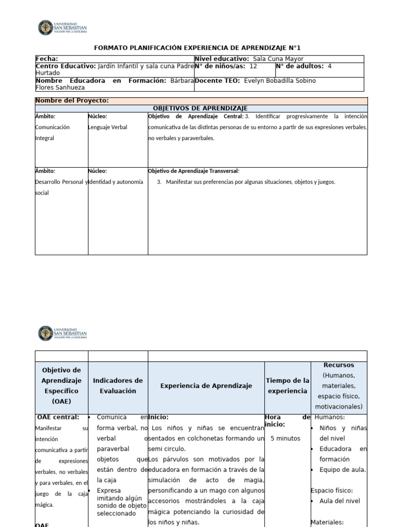 Experiencia 1 | PDF | Educación de la primera infancia | Aprendizaje