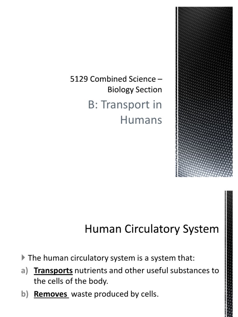 Heart Diagram for Combined Science 5129 | PDF | Atrium (Heart) | Heart