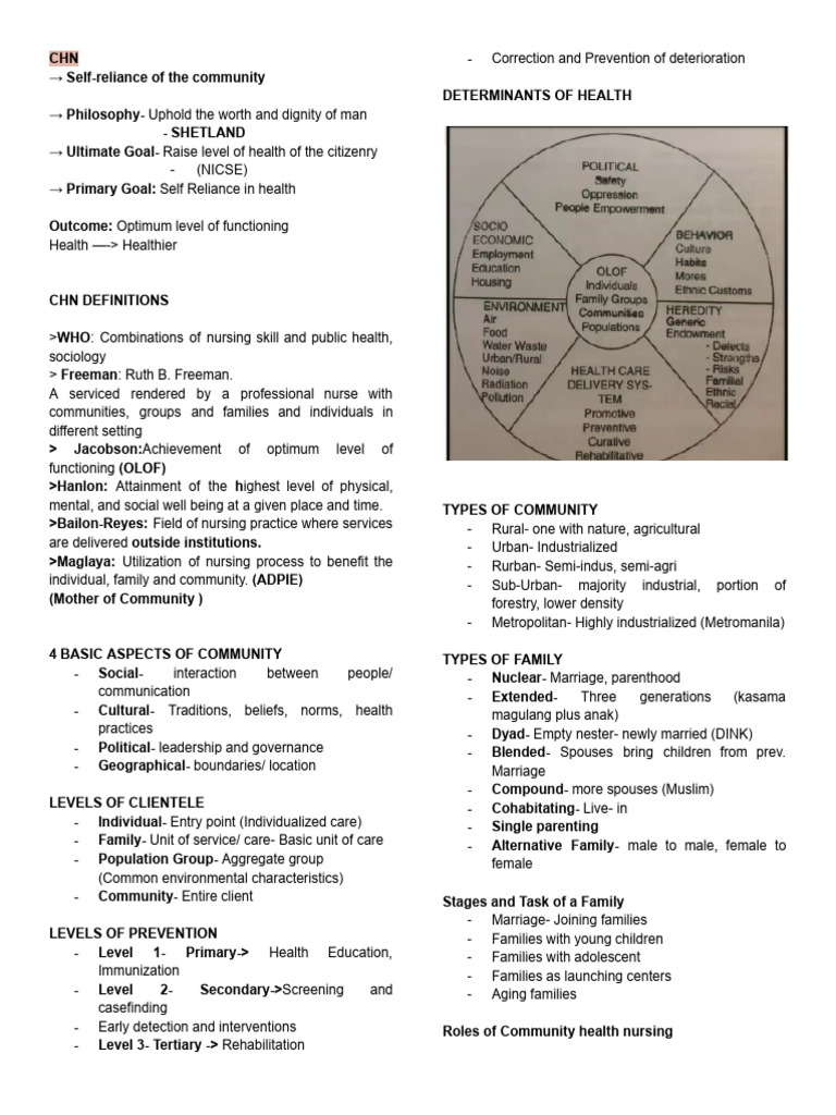 Community Health Notes | PDF