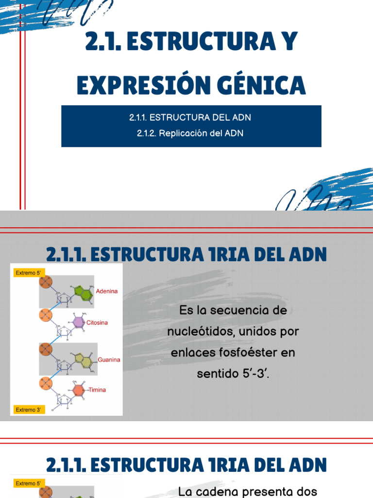 Clase 1 Unidad Ii | PDF | Replicación De Adn | Adn