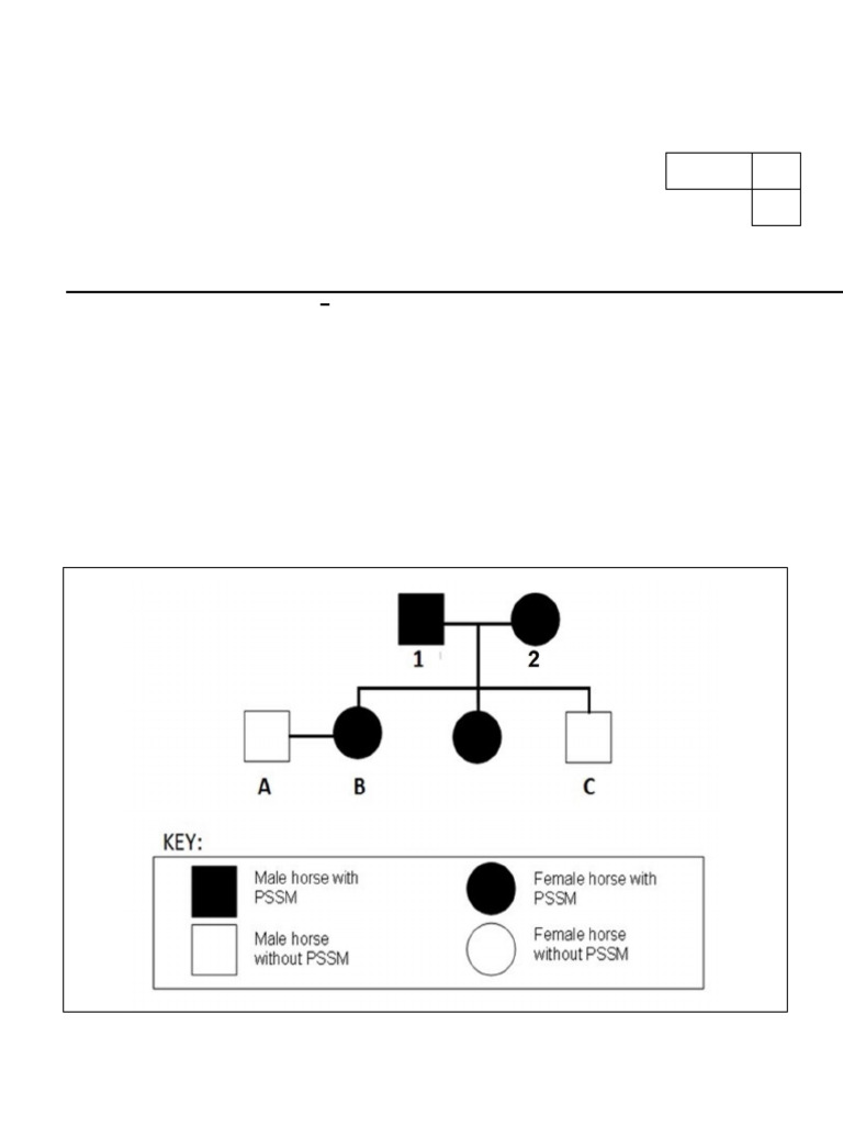 Term 2 Gr.12 Practical Task 2024 Final | PDF | Haemophilia | Genetics