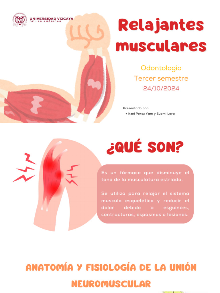 Neoflextran Relax: Usos y Efectos | PDF | Unión neuromuscular ...