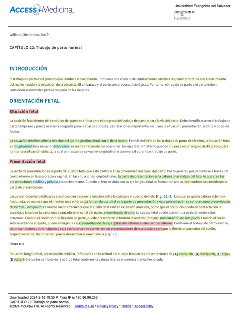 ENAR Temas GyO | PDF | Parto | Salud maternal