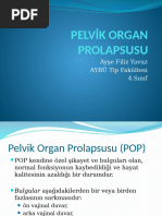 Kogalimdagi biseksuallar yigiladigan joy