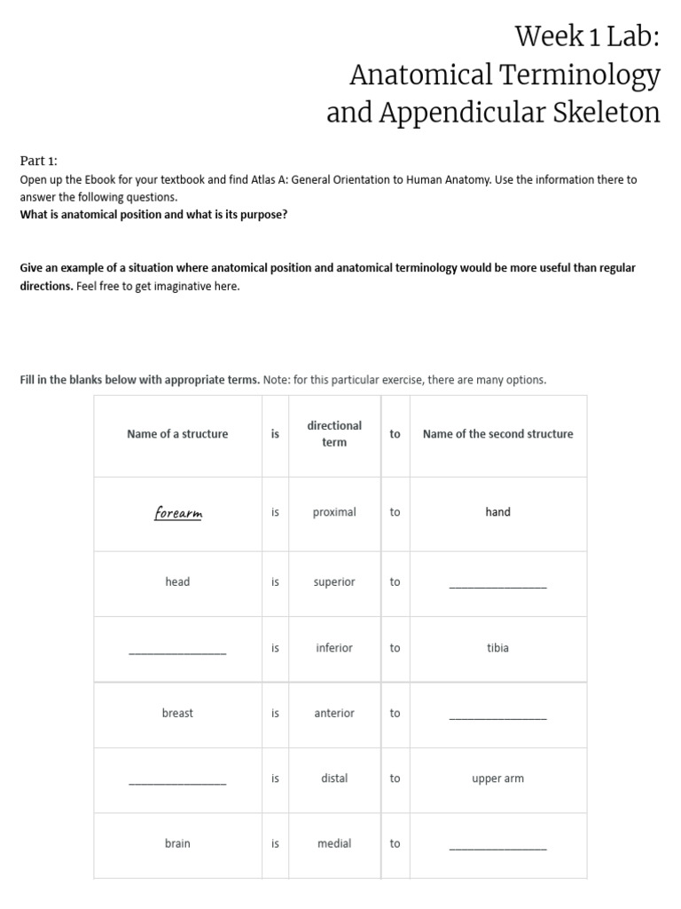 Week 1 Lab (ABSN BIO 315) | PDF | Anatomical Terms Of Location ...