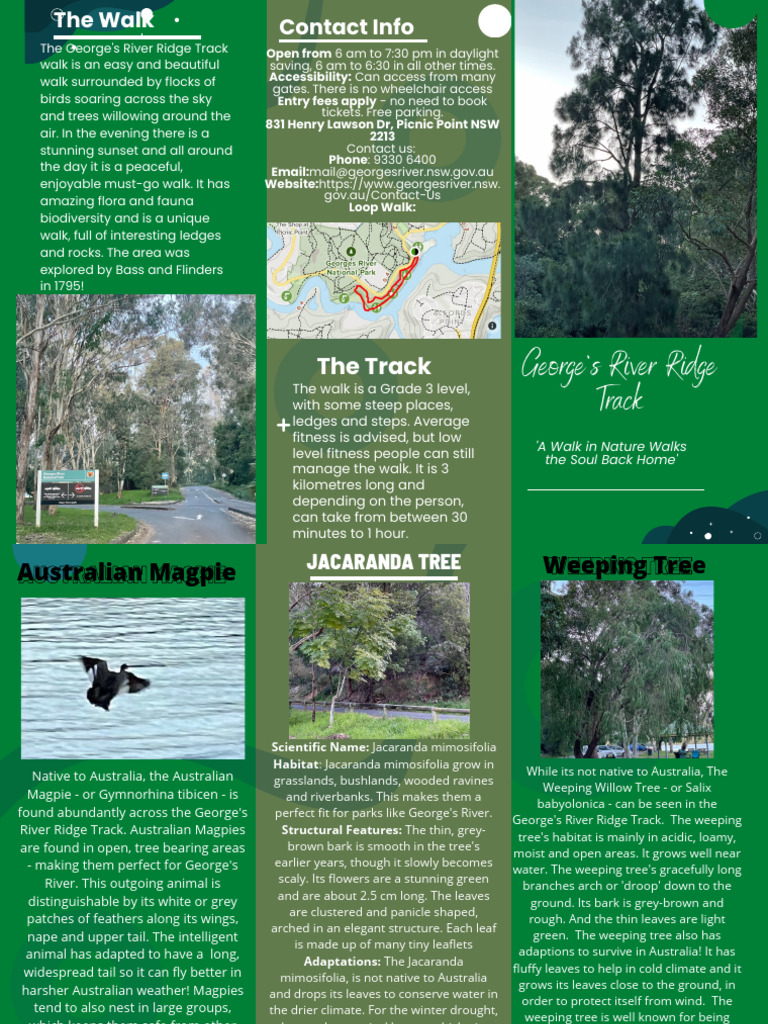 George's River Ridge Track | PDF | Leaf | Trees