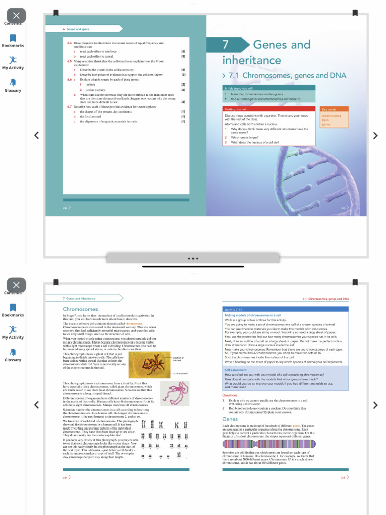 Chapter 7 | PDF