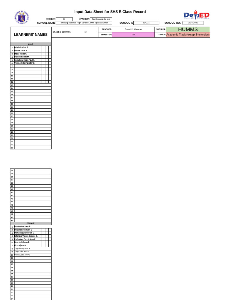 SHS E-Class Record Input Data 2024-2025 | PDF